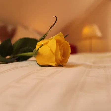 Landgasthof Hoffmann Gbr אורחן