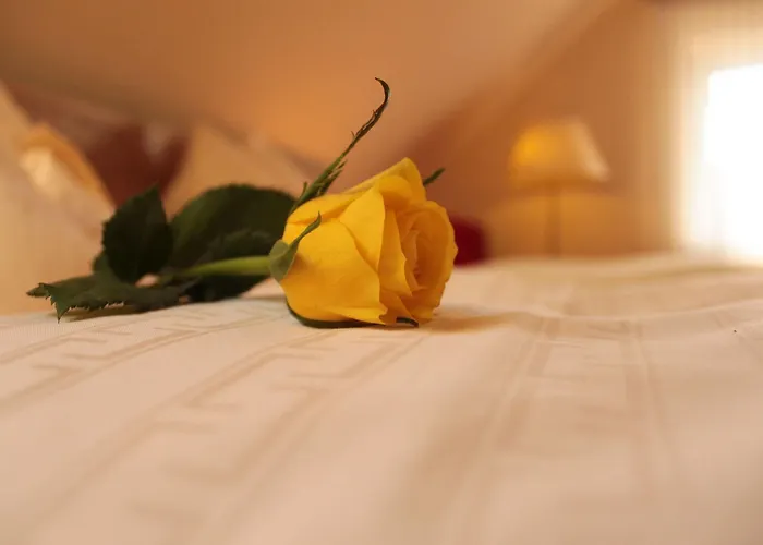 Landgasthof Hoffmann Gbr Penzion